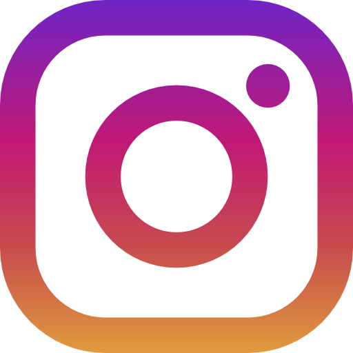  Instagram sekėjai (paprasti sekėjai) 